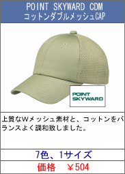 POINT SKYWARD CDM Rbg_ubVCAP