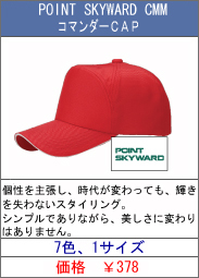 POINT SKYWARD R}_[CAP