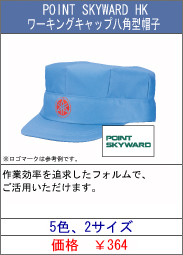 POINT SKYWARD HK ワーキングキャップ八角型帽子