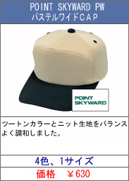 POINT SKYWARD PW@pXeChCAP