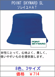 POINT SKYWARD SL \CHAT