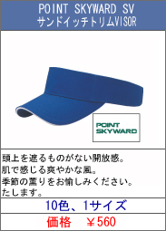 POINT SKYWARD SV ThCb`gVISOR