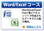 Word/ExcelR[X