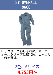 sw_overall_9600