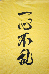 �s�V���c