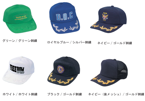 SKYWARD-E GuChCAP@ݎhJ