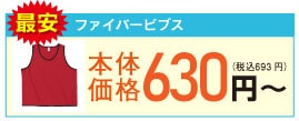 ファイバービブス 最安値630円~