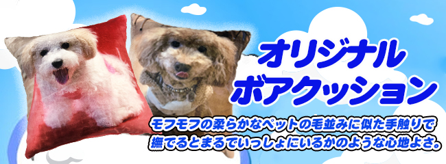 �N�b�V����,�I���W�i���O�b�Y,�y�b�g�O�b�Y