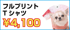 `bgvX tHgObY 摜 ʐ^ ^I X}zP[X uPbg L[z_[ Xgbv v nh^I }OJbv g[gobO IWi I[_[Ch v[g 蕨 a LO